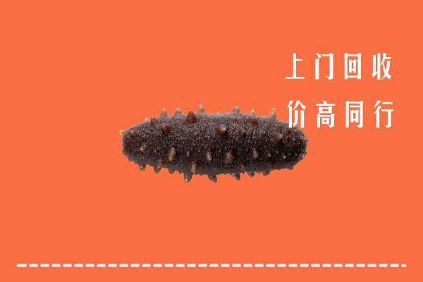 高价求购：株洲回收海参