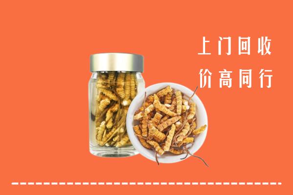 株洲回收冬虫夏草